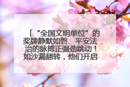 “全国文明单位”的奖牌静默如磐、平安法治的脉搏正强劲跳动！如沙漏翻转，他们开启了全新的计时